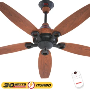 Royal Fans Ornament - iTurbo 30 Watts