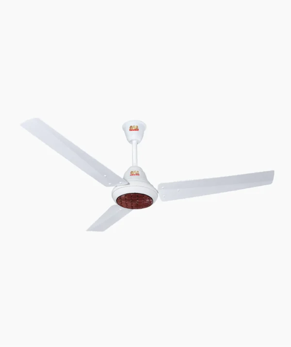 GFC Inverter Fans - Ravi Plus 30 Watts